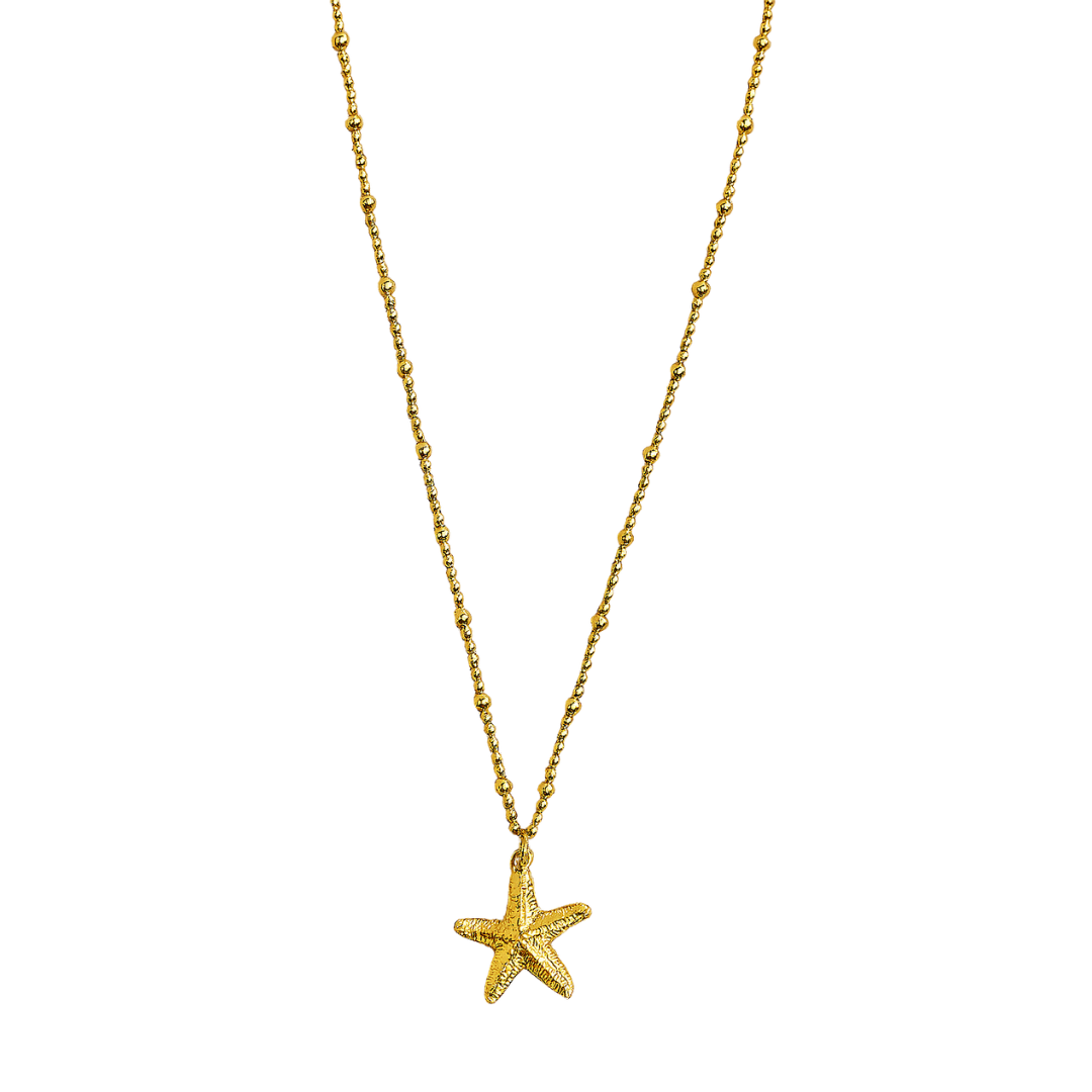 Collar Starfish
